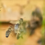 Langsam wird es ruhiger