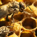 Langsam wieder mehr Leben